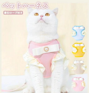 ybgpn[lX ^ p n[lX  ^ lR EFAn[lX n[lX n[lX Ȃ ̌^ 킢 ȒPE ߉\ h~ P݌y U op 4J