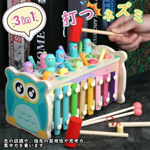 知育玩具 木製 積み木 磁石 釣り 幼児槌で打つネズミ 打楽器 赤ちゃん ブロック 可愛い 子供用 幼児用 男の子 女の子 木のおもちゃ ドロップインザボックス 誕生日 プレゼント 贈り物 入学祝
