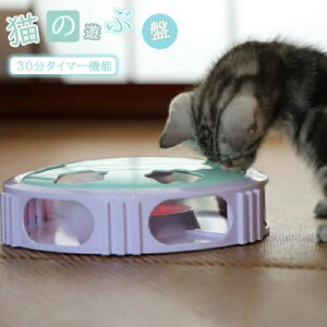 L̂ ybgpi@VԔ @L炵  ^s XgX mߋ Sf