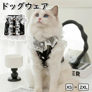 hbOEFA s[X ėp  [X s[X XJ[g hX ^Ngbv m[X[u ttXJ[g s[X L~\[ ybg t ĕ H ~ ̕