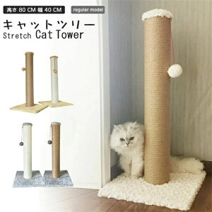 ܂Ƃ L ɑ |[  80 cm  40 cm Iׂ   ꊪ ˂ ߂Ƃ lR ܂Ƃ|[ ܌ ܂݂ Lbgc[ ~j u L^[ Lpi ybgp   