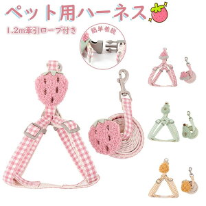 ybgpn[lX ^ p n[lX  lR EFAn[lX n[lX n[lX Ȃ ̌^ 킢 ȒPE ߉\ U op4J[ S U ʋC ^ 