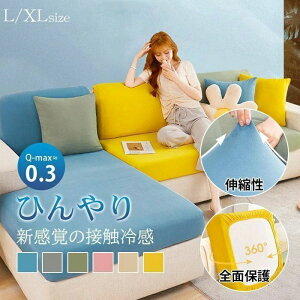 Lk G肢 ϋv ʋC h~ _炩 Sʕی ҂ n Xgb` ڐG⊴ Ђ 3-4l| ʃJo[