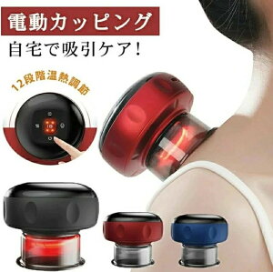  z zJbv eʃobe[ 12iK̋z LCD dJbsO JbsO}bT[W