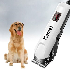 ^ɓKp ^ ^ oJ g~O p SgJbg  vp S R[hX [d U ᑛ 荂