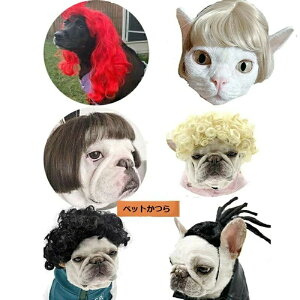  L nEB Jc RXv p[} At ObY ϑ t`uhbO ybg   L p ʔ RX`[ ^ ^ ^ ϐg o| Be