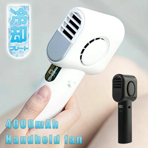 nfBt@ pv[g gѐ@ -16p 100iKʁy2025NViznfB@ pv[g 莝@ usb@ @ AEghA N[[ @ y 4000mAh 10