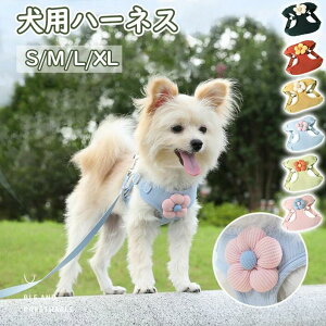 pn[lX@ n[lX l[  ^ Ȃ ȒP CjV h~@^ ^ U o AEghA qh~ ʋC iC }WbNe[v nh