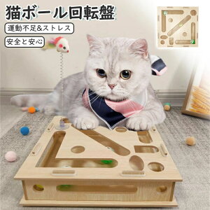 L  {[ {[]  lV {[ L ܂Ƃ _ V g[C {bNX^Cv i ˂ Lbg ߂Ƃ lp  {bNX ȒPȑgݗ ^s XgX