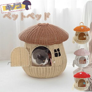 Lp ybgxbh ^ LlXg LmR^ LbgnEX ˂ ^  pxbh e pP[W ҂ 􂦂 I[V[Y ȒP ʋC ėp t NbV