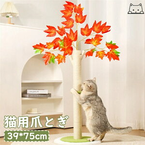 LpXNb`{[h Lbg^[ L^[ LbgNC~O LpnbN LpƋ LpNC~Ot[ ybgANZT[ p Lpxbh LpNC~Ot[