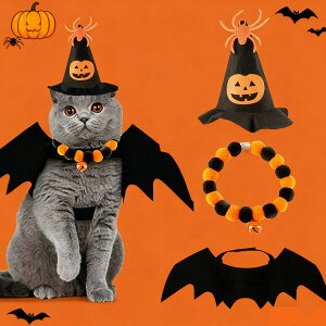 nEB ybg 3Zbg ybgRXv L p Xq RE    J{` w ybgEFA 蕨 RXv RX`[  ϐg nEB ʐ^Be  L