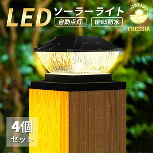 \[[Cg 4Zbg O h K[fCg  킢 X|bgCg FREESIA dF F 邢 Px \[[ LED ZT[ _ ÃZT[  Ɩ O 