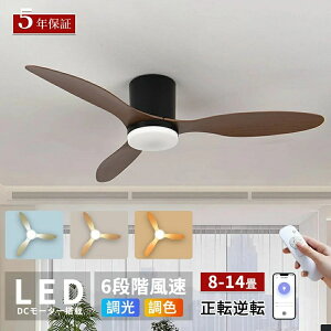 y2025V+r[TzV[Ot@Cg led V[Ot@ t@tƖ V[OCg  10 14 F t]@\ APPΉ Ɩ VƖ 3H @ 