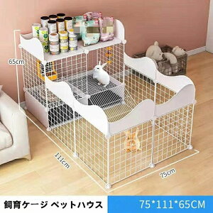 傫e P[W P[W ybgnEX LbgP[W ɍLCxgXy[X WCg gȒP y  ˂ ETM  lR  [P[W p 