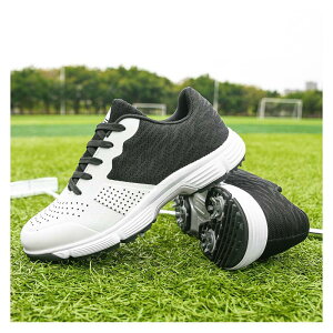 StV[Y Y Ȃ y y JWA Vv St v  AEghA  