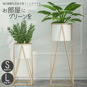 t[X^h ԑ v^[X^h t[  X^h  RpNg Aؔ u ACA  X R\[   ϗt A |bg  u ԕr ϗtA