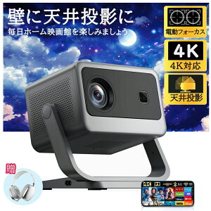  26000LMPx X}zƌq dtH[JX 4KΉ V䓊e ^ ƒp