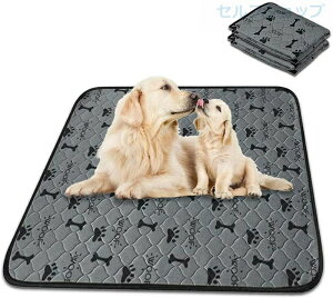 ybgp}bg ybg}bg gCV[g ~ }bg 2_ 4d\ h  L ~  ^