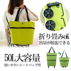 L[J[g VbsOJ[g X[cP[X VbsOJ[g ܂ y J[g GRobO e WJSobO g[gobO