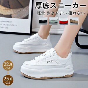 Xj[J[ fB[X X|[cV[Y C V[Y ~ h r r ₷ Ȃ ɂȂ ʋC Vv ʋ ʊw 