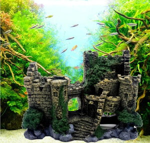 IuWF Ï ANAEI[ig B pCeA Mы 