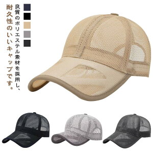 YLbv bV rbOTCY 傫 StX  싅 Lbv nbg Lbv Xq x[X{[Lbv