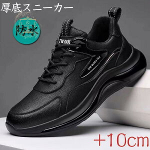 Xj[J[ Y h  y Jp jp hV[Y Ռz ʊw^C 
