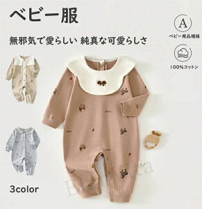 xr[ Jo[I[ V  100%Rbg ʋC {[ɂȂɂ m[V[ DڂȂ  K xr[pi A Ki S S Z[[J[ ؍ xr[ 