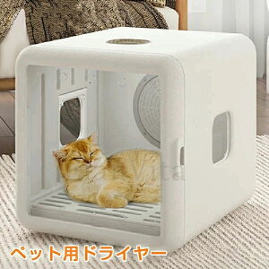 hC[ ybghC[ {bNX ybg hC[ ybgphC[ hC[ L ybg@   lnEX É x UV {Ki PSE擾