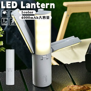 LED^ [d  dr ^ 邢 \tgCg Lv^ ЊQ h d oR ނ