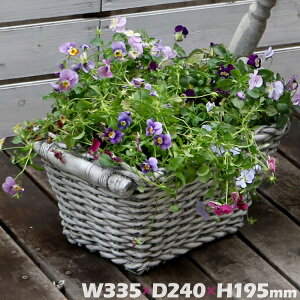 385×s240×195mm BSPL-400WHT }OlVEv^[ Old Basket I[hoXPbg }OlVEv^[ A Aؔ 傫 AJo[ JS DF O[ oXPbgyz