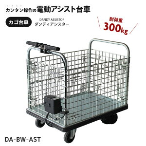  d dAVXg JSt ω׏d 300kg ԉ p Ɩp  _fB AVX^[ p[AVXg JS@ u[Lt DA-BW-AST yz