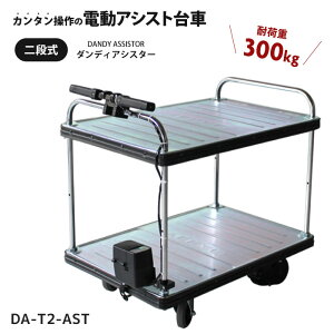  d dAVXg ω׏d 300kg ԉ p i Ɩp  _fB AVX^[ p[AVXg u[Lt DA-T2-AST yz