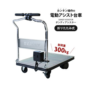  d dAVXg ܂肽 ω׏d 300kg ԉ p Ɩp  _fB AVX^[ p[AVXg u[Lt UDA-LSC-AST yz