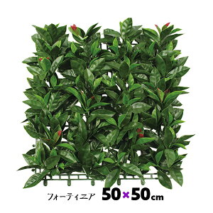 GMV[g tH[eBjA 50×50cm A\  ǖʗΉ   t t  lHϗt  tFCNO[ zCG V[g V[g Ǌ|