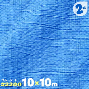 ブルーシート 中厚手 ハトメ 2枚 2200 10m×10m 10.0 大判サイズ