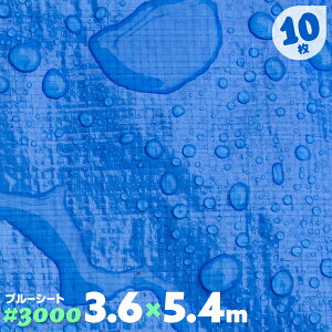 ブルーシート 厚手 防水 ハトメ 10枚 3000 3.6m×5.4m 3.6 5.4