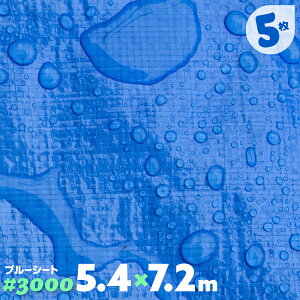 ブルーシート 厚手 防水 ハトメ 5枚 3000 5.4m×7.2m 5.4 7.2