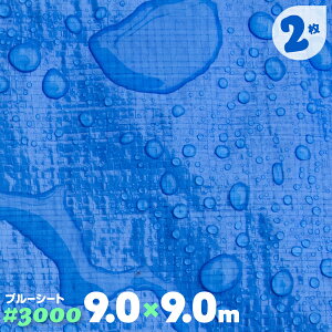 u[V[g  h ng 2 3000 9m×9m 9.0 唻TCY