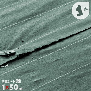 1 1m×50m hV[g O[  _pV[g V[g Gh~ Gh~V[g 悯V[g GV[g 1{yz