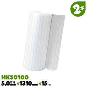 2{ 5mm HK50100 1310mm×15m tLVu vxj [  _v vX`bN v_ TvClcP[ ǂȂ ZvXebNyz