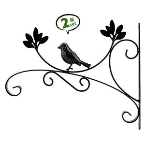 2Zbg Color Bird nMOuPbg  [t  tbNuPbg ubN ACA oXPbgtbNyz
