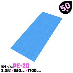 50 PE-20 2.0mm { { {{[h vX`bN{[h H Ǘ{{[h z{ tH[ xj