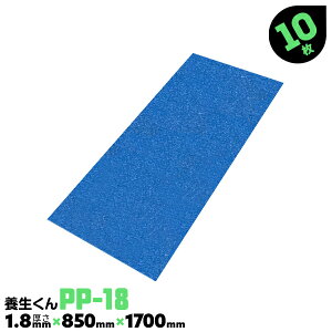 10 PP-18 1.8mm { { {{[h vX`bN{[h H Ǘ{{[h z{ tH[ xj