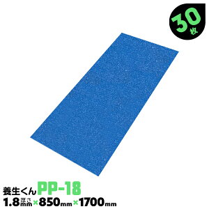 30 PP-18 1.8mm { { {{[h vX`bN{[h H Ǘ{{[h z{ tH[ xj