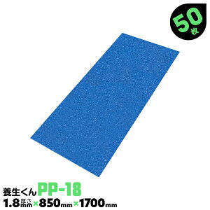 50 PP-18 1.8mm { { {{[h vX`bN{[h H Ǘ{{[h z{ tH[ xj