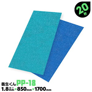 20 PP-23 2.3mm { { {{[h H Ǘ{{[h z{{[h tH[ {[h { xj