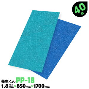 40 PP-23 2.3mm { { {{[h H Ǘ{{[h z{{[h tH[ {[h { xj