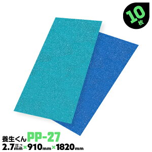 10 PP-27 2.7mm { { {{[h H Ǘ{{[h z{{[h tH[ {[h { xj